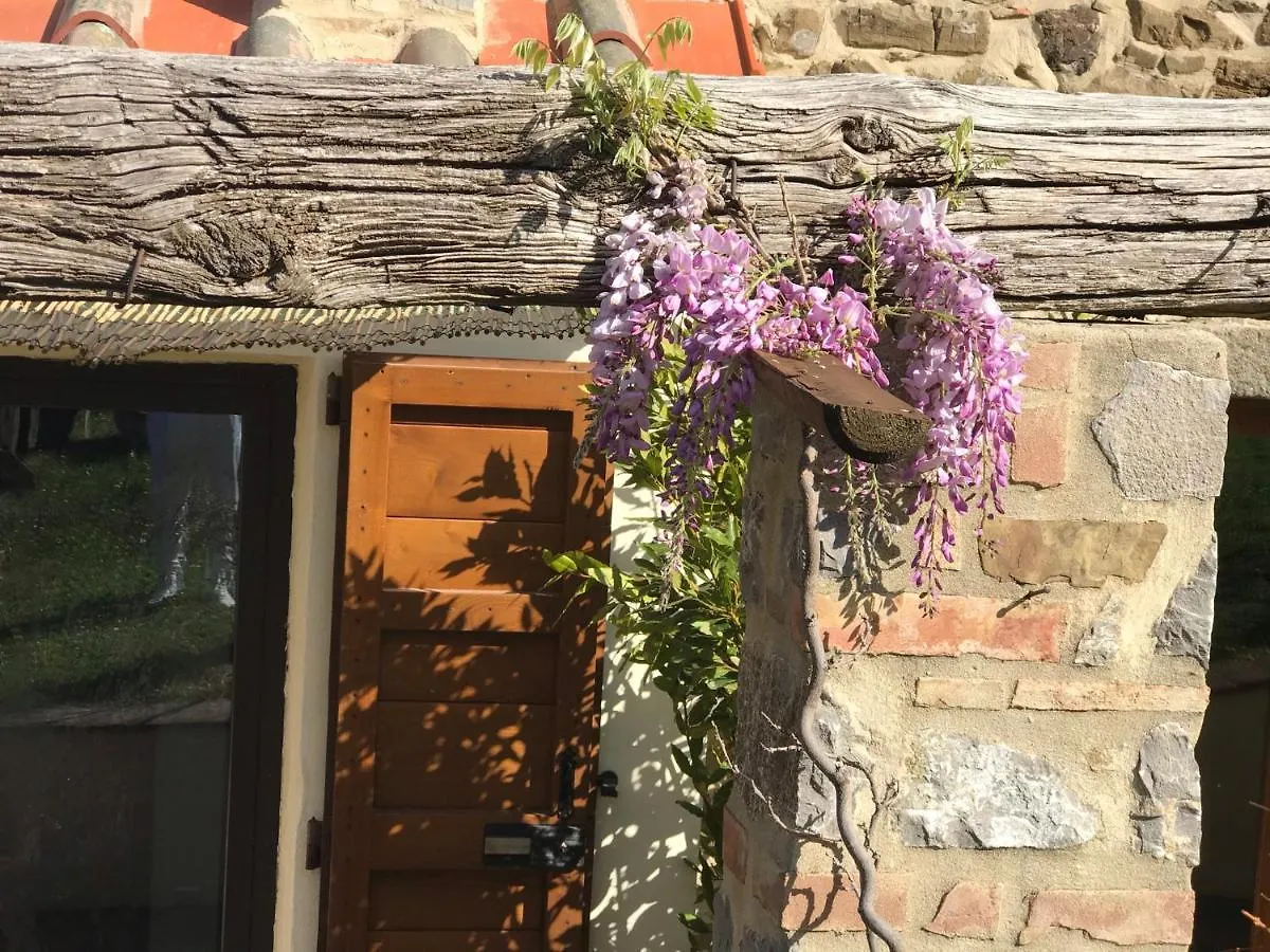Antichi Casali Hotel Castel del Piano  Castel del Piano (Tuscany)